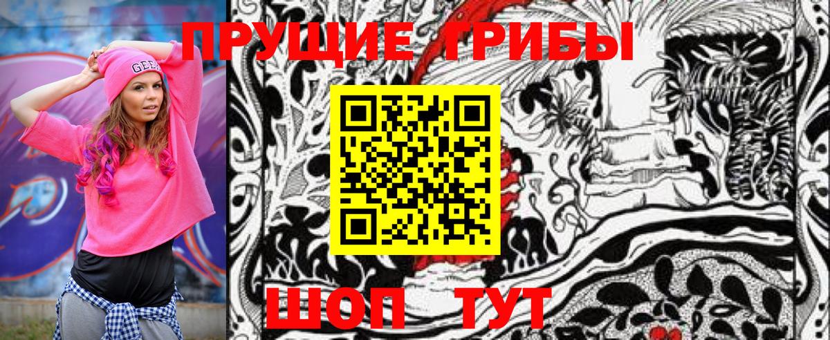 Псилоцибиновые грибы Psilocybe  Вход с VPN  Галлюциногенные грибы ЛСД  Усинск 